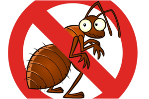 Best Pest Control Expert for your Home