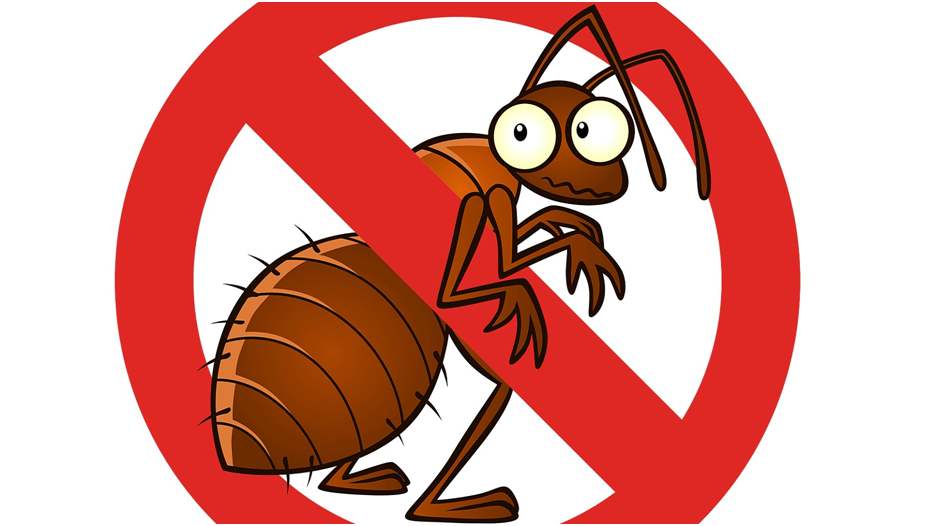 Best Pest Control Expert for your Home