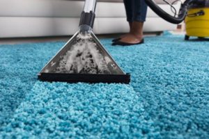 Tips for Cleaning Your Home between Professional Carpet Cleanings