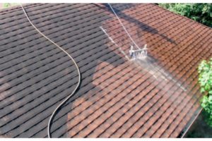 how to remove mold from your roof