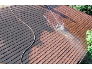 how to remove mold from your roof
