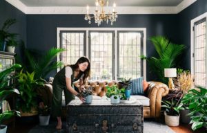 Tips for Choosing a Plant for Every Room in Your Home