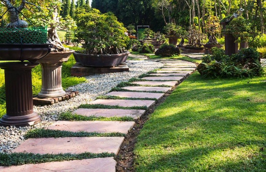 Best Garden and Landscape Design Tips