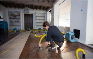 What Are the Things That You Need To Look For In A Water Damage Restoration Company?