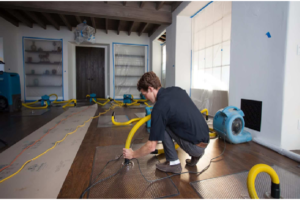 What Are the Things That You Need To Look For In A Water Damage Restoration Company?
