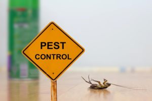 Pest Control Tips