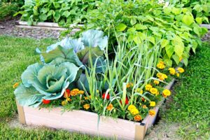 gardening in your home