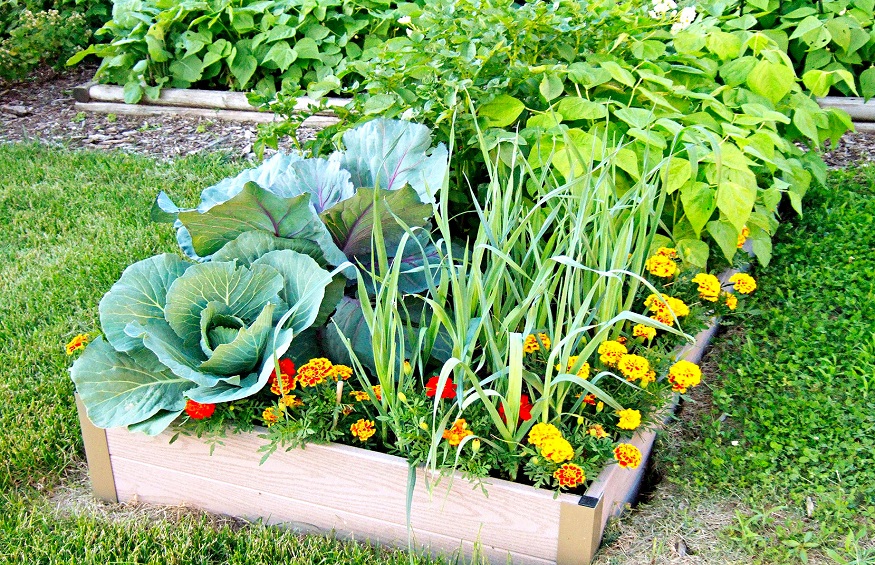 gardening in your home