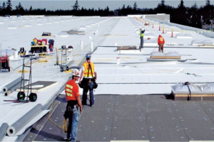 Roofing Companies