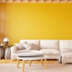 Room Paint Colours