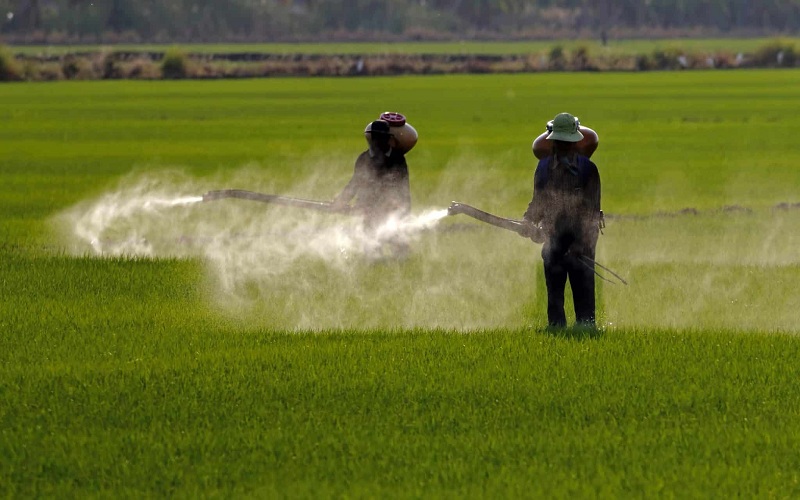 Integrated Pest Management